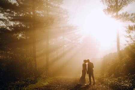 Dans une foret un couple de marié d'après leur vetements, se tient la main, l'ambiance est jaunie par les nombreux rayons du soleil passant entre les arbres.