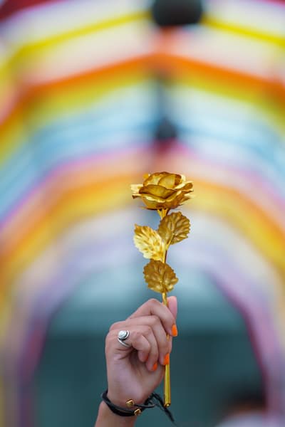 Sur fond arc-en-ciel, une main féminine tient une rose dorée.