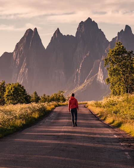 Un homme en sweat rouge se tient de dos sur une route bordée d'arbres, la route se termine sur des montagnes impressionantes